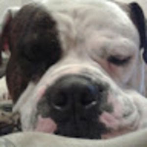 Meet your Posher, Kari